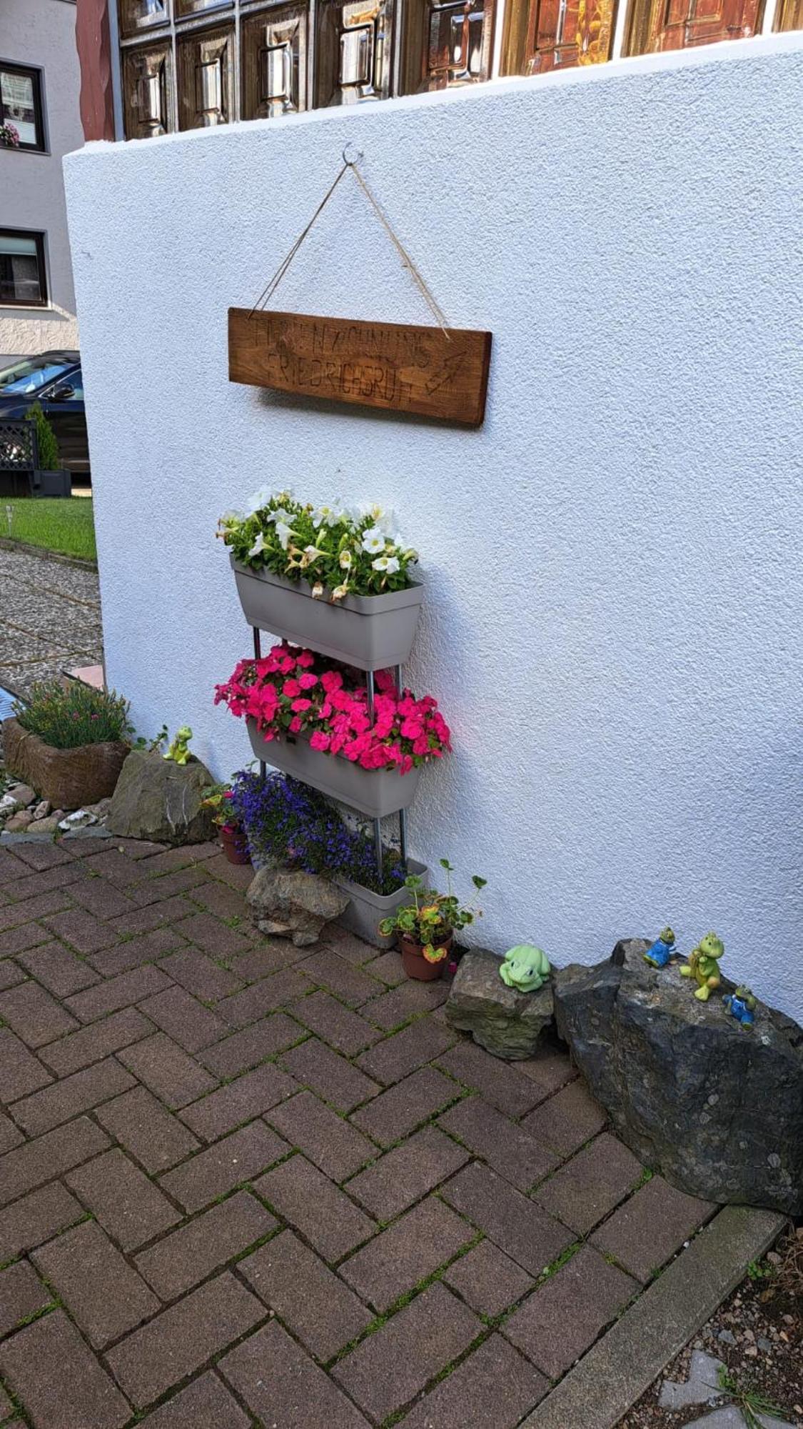 Ferienwohnung Friedrichsruh Braunlage Buitenkant foto