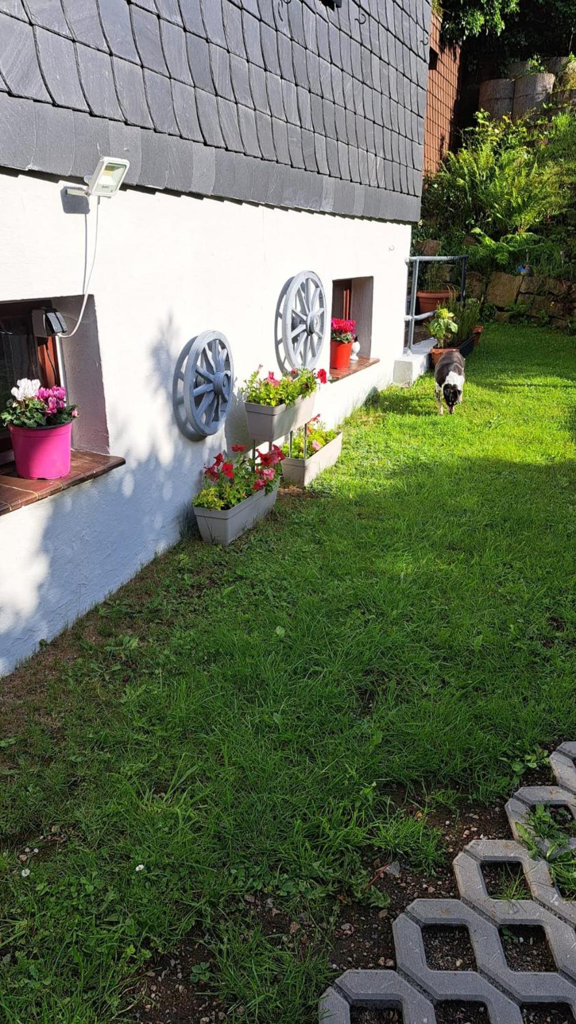 Ferienwohnung Friedrichsruh Braunlage Buitenkant foto